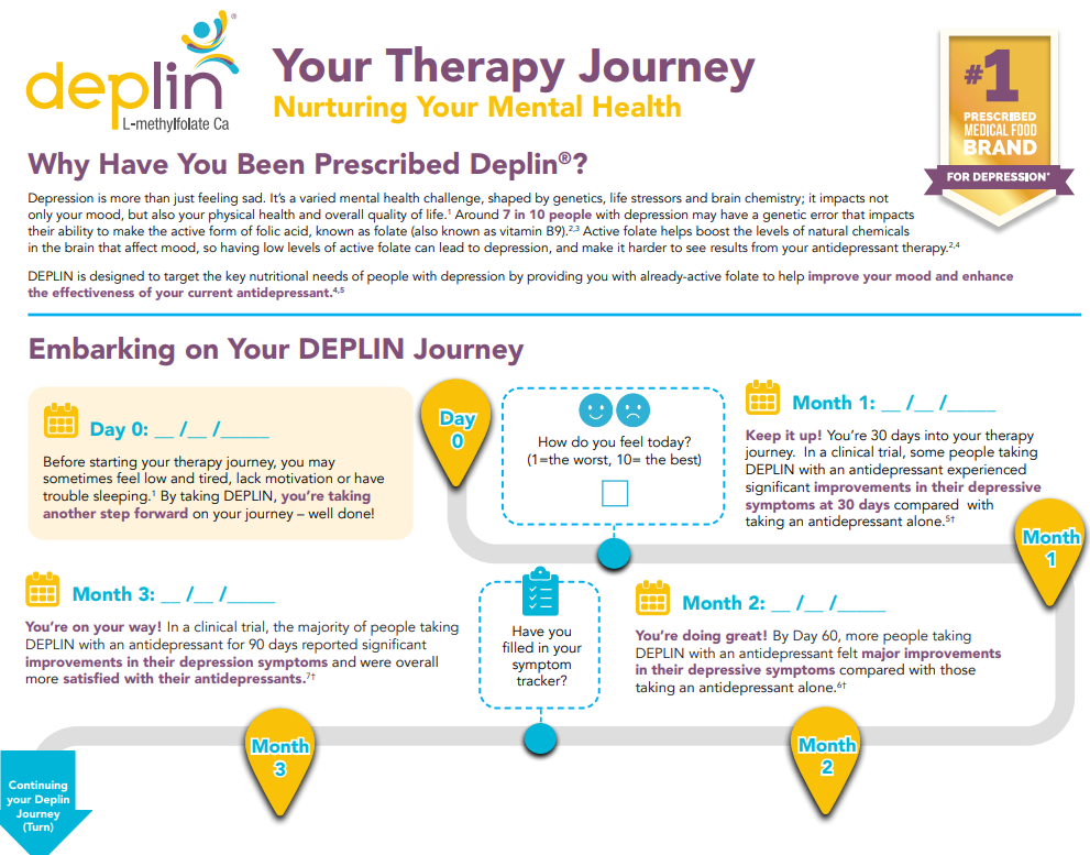 DEPLIN infographics