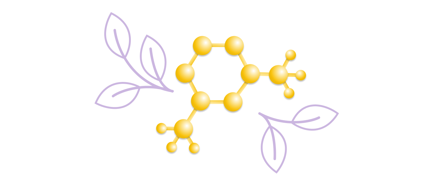 Molecular structure diagram depicting L-Theanine with yellow atoms and purple leaves on a white background